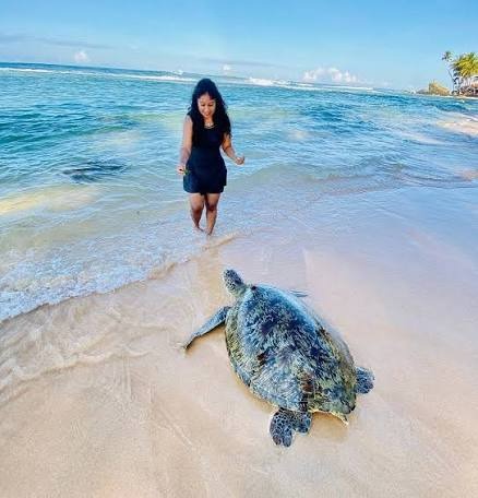 Hikkaduwa Turtle Beach - Wild Sea Turtles